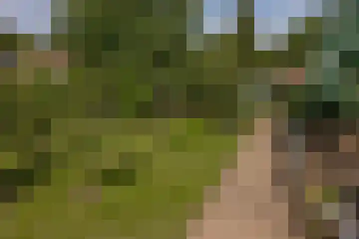 Peperstraat 10 Grevenbicht thumbnail 18