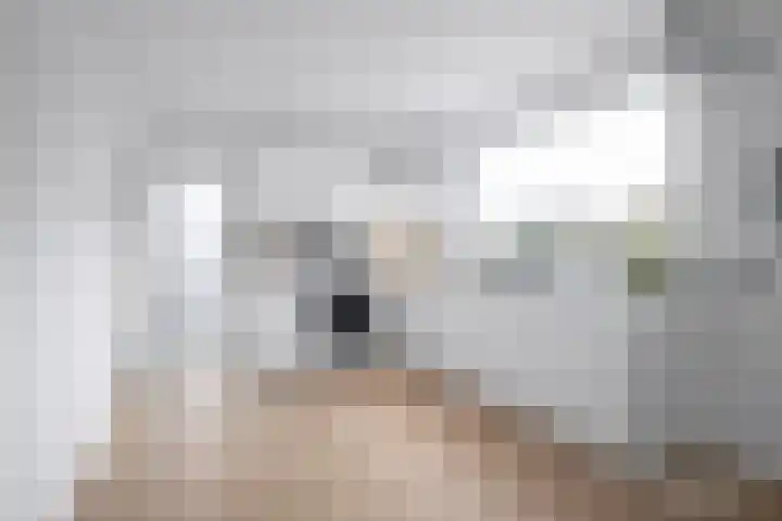 Peperstraat 10 Grevenbicht thumbnail 7