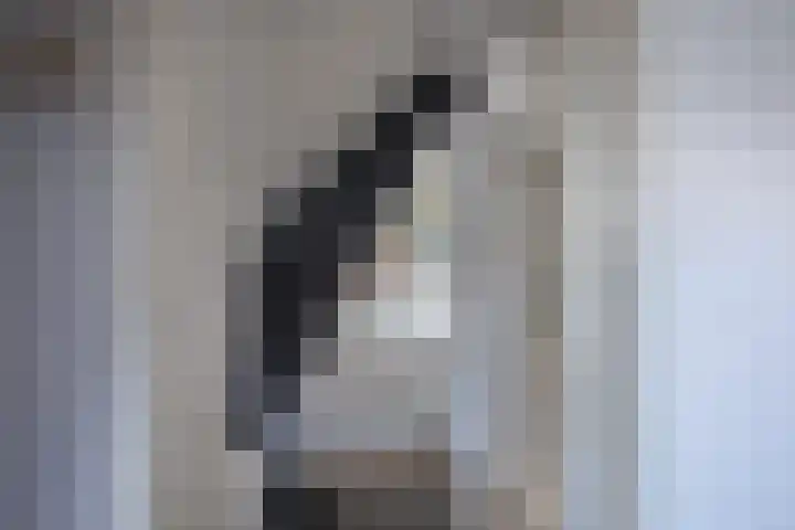 Peperstraat 10 Oosterend thumbnail 12