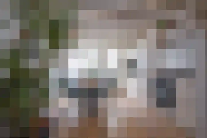 Peperstraat 10 Oosterend thumbnail 7