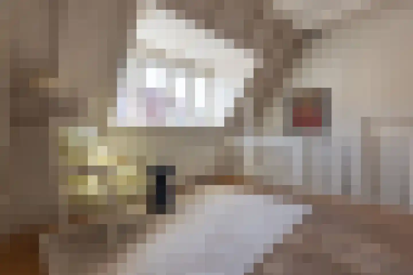 Peperstraat 14 Naarden thumbnail 22