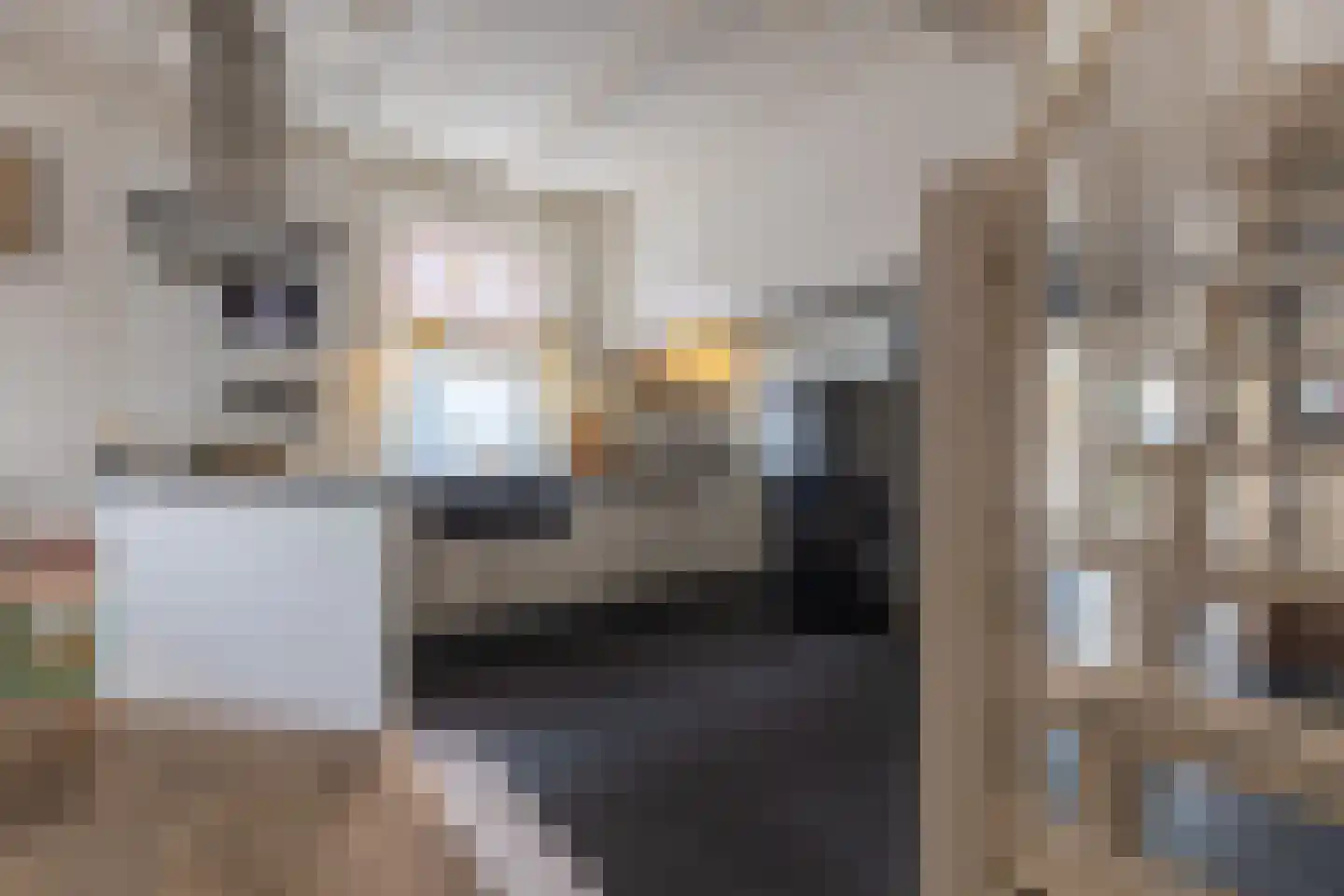 Peperstraat 14 Naarden thumbnail 7