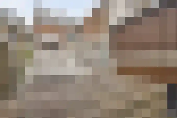 Peperstraat 18 Purmerend thumbnail 25