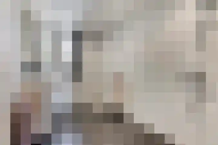 Peperstraat 21 Eindhoven thumbnail 17