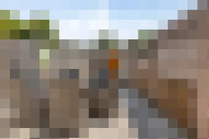 Peperstraat 21 Eindhoven thumbnail 23