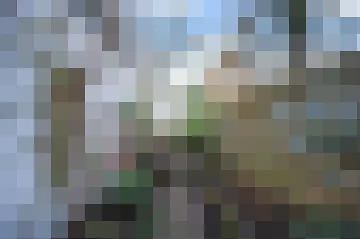 Peperstraat 3 Oudewater thumbnail 17