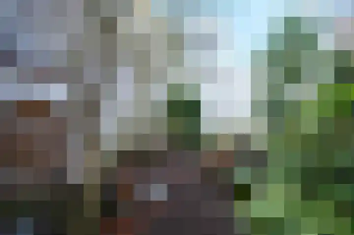 Peperstraat 3 Oudewater thumbnail 18