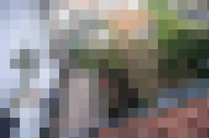 Peperstraat 3 Oudewater thumbnail 36