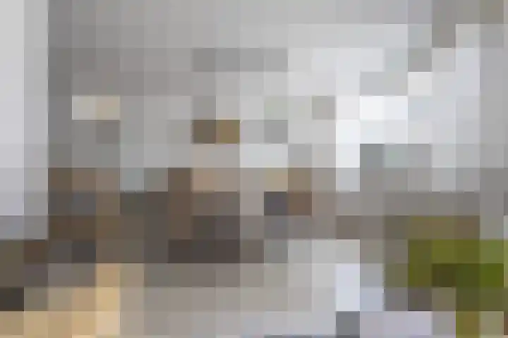 Peperstraat 42 Beverwijk thumbnail 12