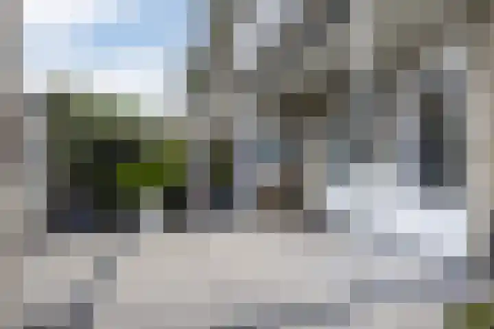 Peperstraat 42 Beverwijk thumbnail 31