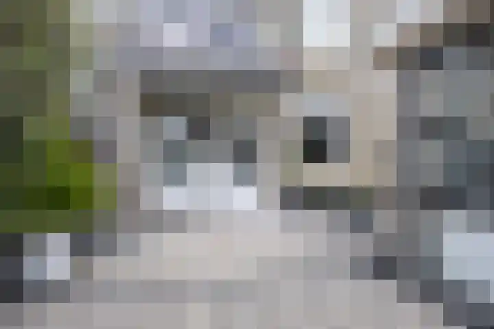 Peperstraat 42 Beverwijk thumbnail 33