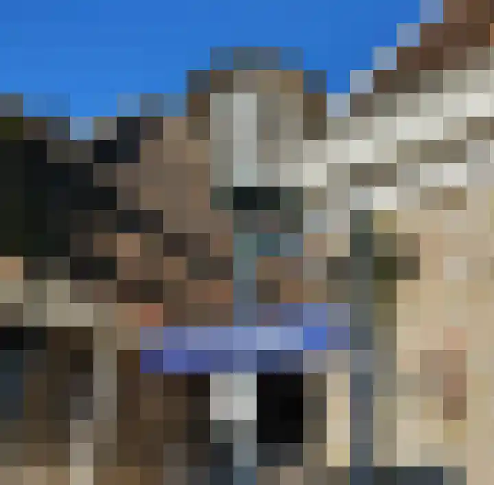 Peperstraat 5 B Oosterend thumbnail 27