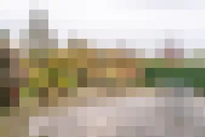Peperstraat 72 Voorhout thumbnail 28