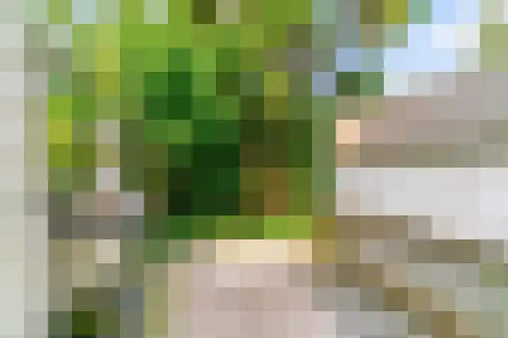 Peperzoom 37 Voorhout thumbnail 11