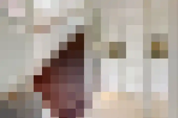 Peperzoom 37 Voorhout thumbnail 23