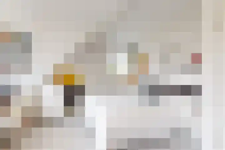 Peperzoom 37 Voorhout thumbnail 25