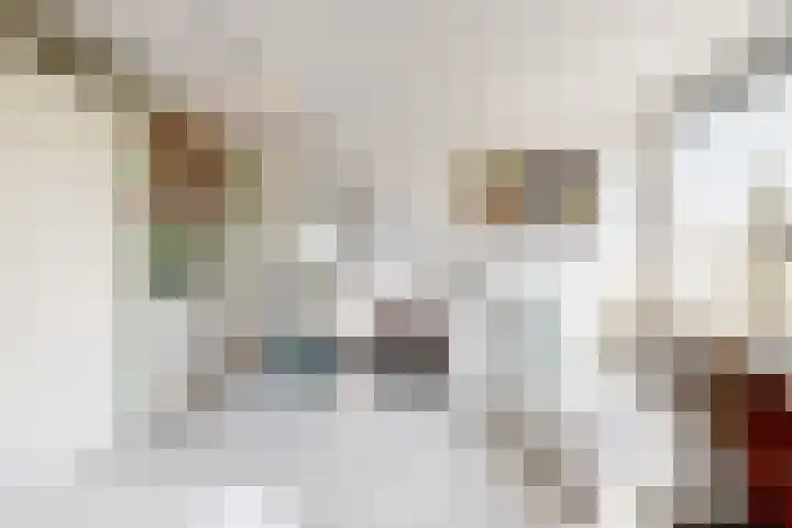 Peperzoom 37 Voorhout thumbnail 26