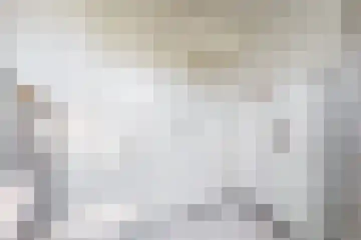 Peperzoom 37 Voorhout thumbnail 32