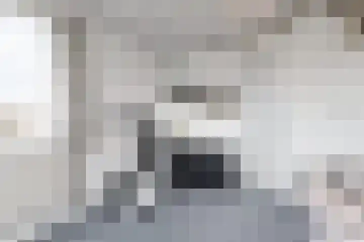 Peperzoom 37 Voorhout thumbnail 36