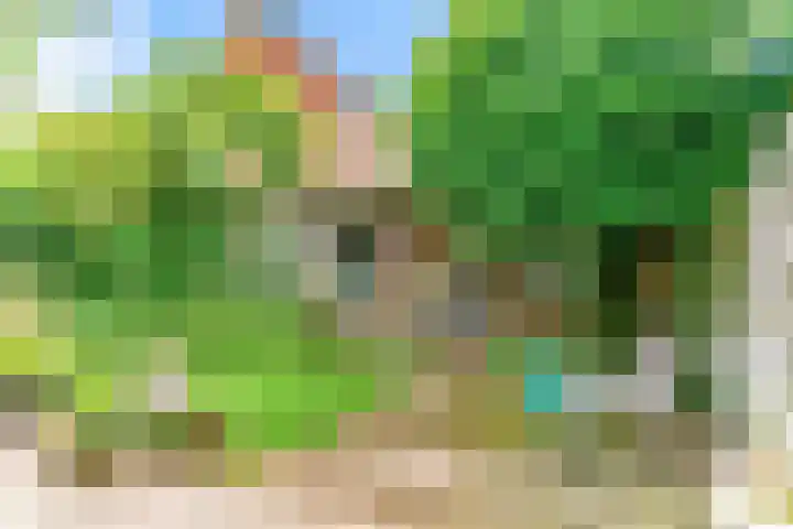 Peperzoom 37 Voorhout thumbnail 38