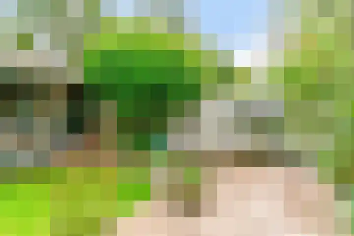 Peperzoom 37 Voorhout thumbnail 39