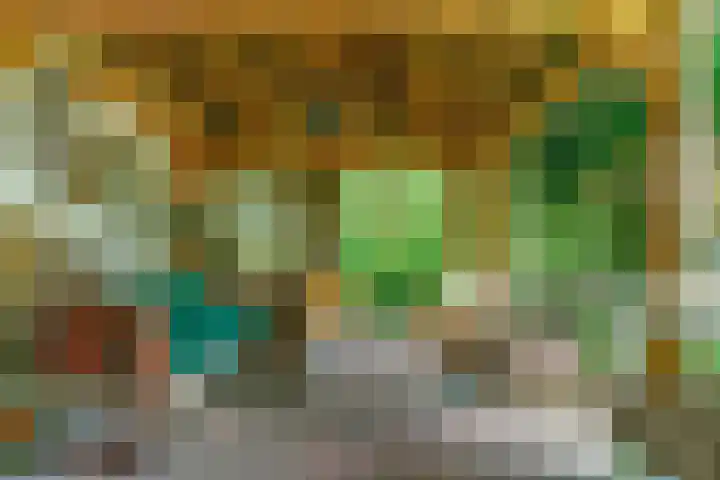 Peperzoom 37 Voorhout thumbnail 4