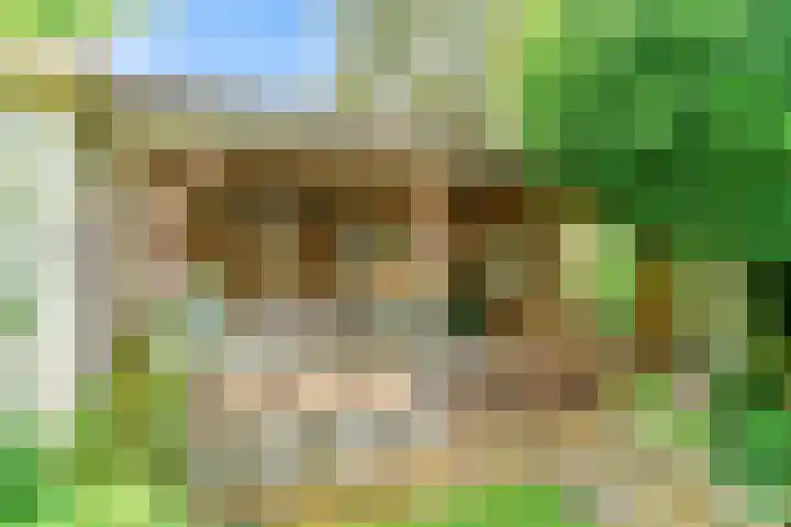 Peperzoom 37 Voorhout thumbnail 40