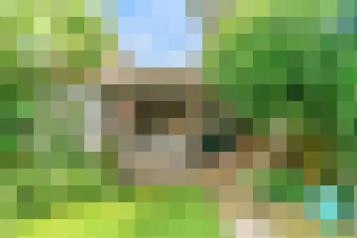 Peperzoom 37 Voorhout thumbnail 41