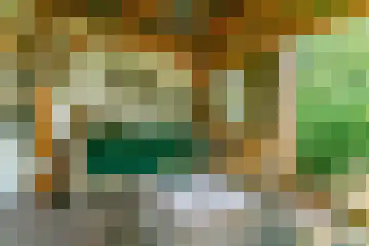 Peperzoom 37 Voorhout thumbnail 42