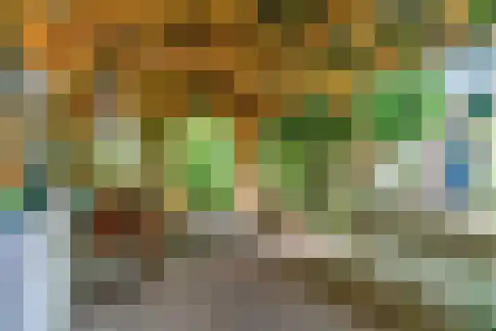 Peperzoom 37 Voorhout thumbnail 44