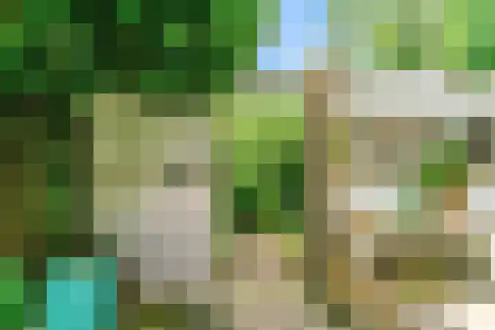 Peperzoom 37 Voorhout thumbnail 45