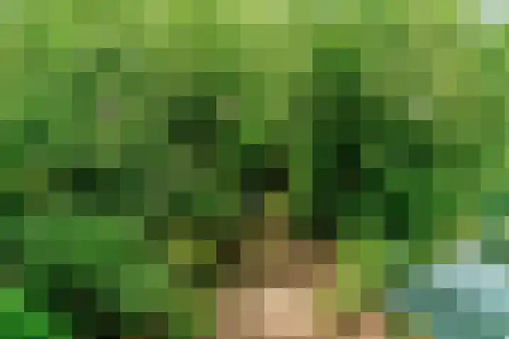 Peperzoom 37 Voorhout thumbnail 46