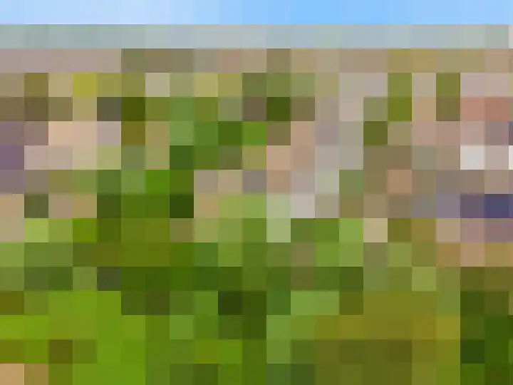 Peperzoom 37 Voorhout thumbnail 49