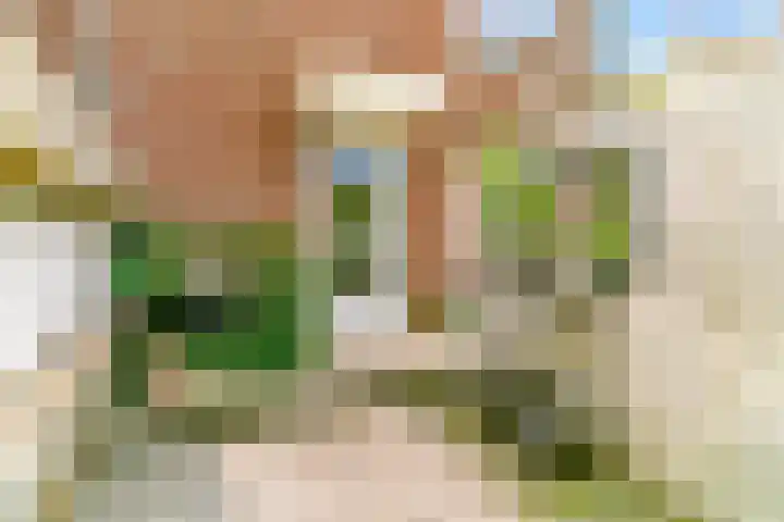 Peperzoom 37 Voorhout thumbnail 7