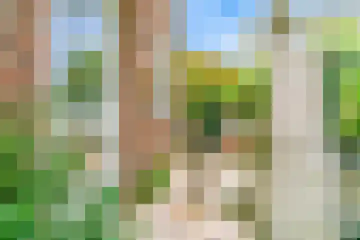 Peperzoom 37 Voorhout thumbnail 8
