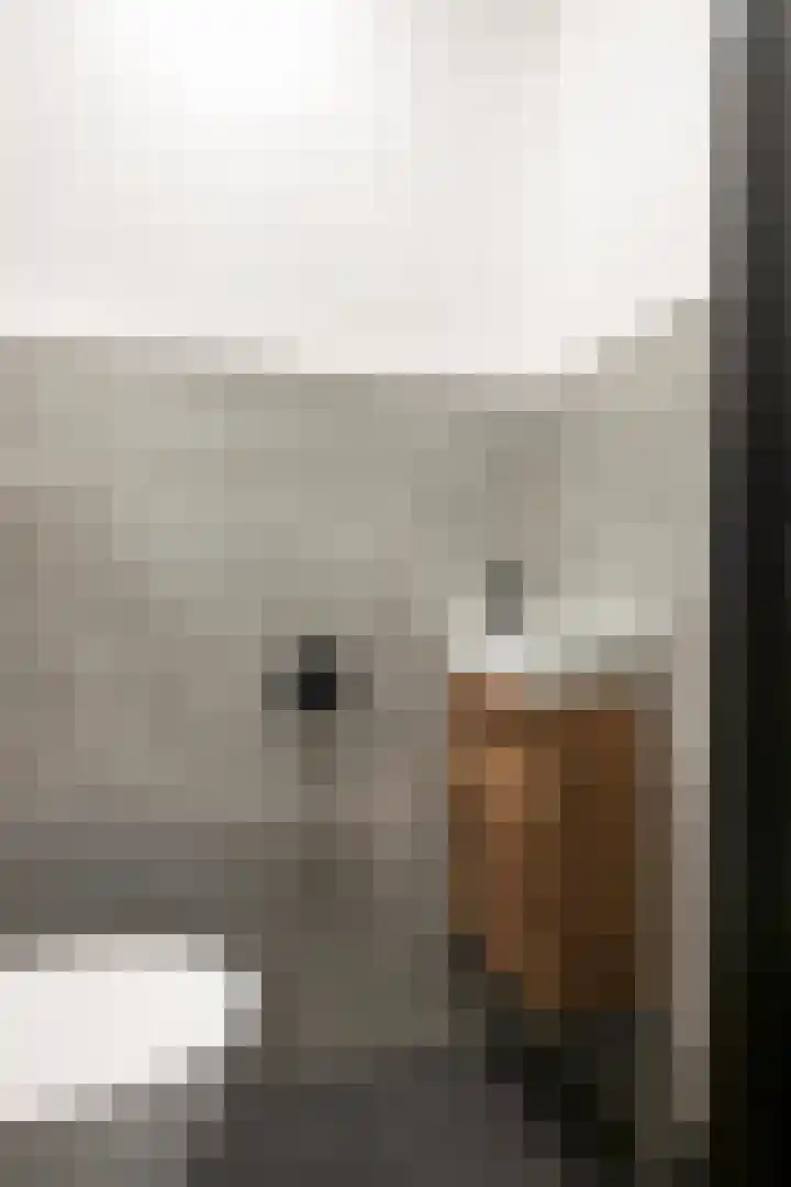 Pepijnstraat 8 Sittard thumbnail 8