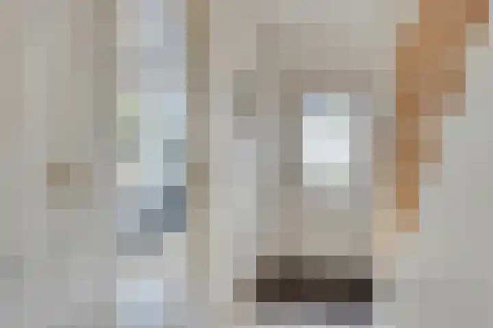 Pepinusbrug 24 A Echt thumbnail 10