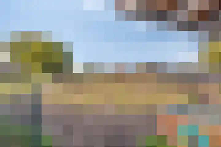 Pepinusbrug 24 A Echt thumbnail 26