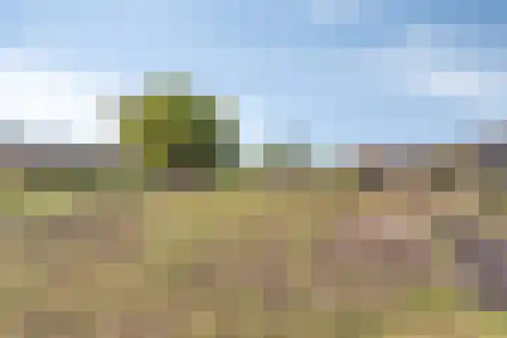 Pepinusbrug 24 A Echt thumbnail 27