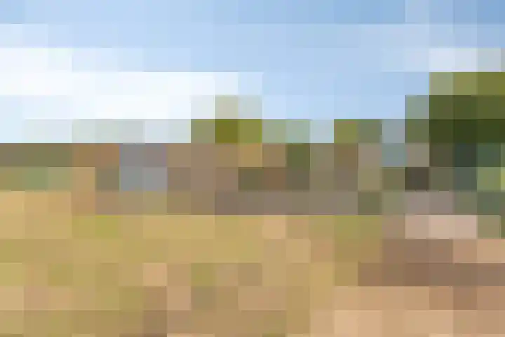 Pepinusbrug 24 A Echt thumbnail 30