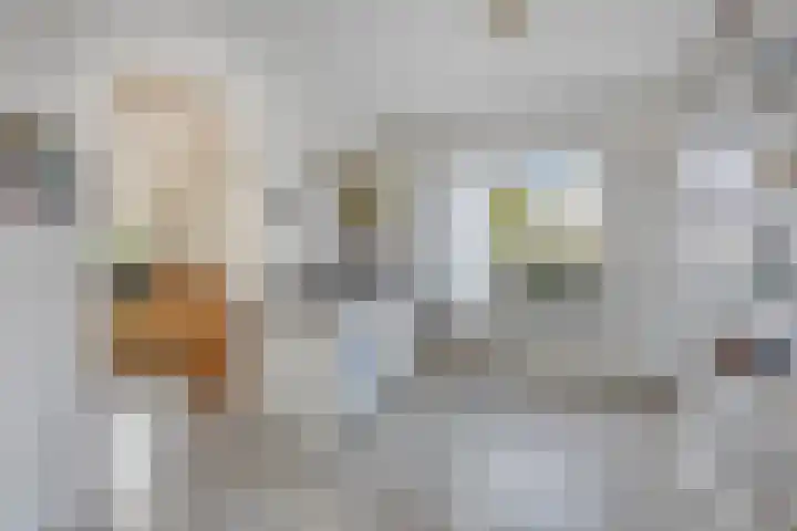 Pepinusbrug 24 A Echt thumbnail 6