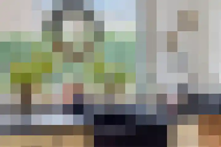 Pepinusbrug 24 A Echt thumbnail 9