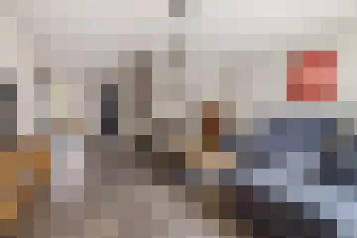 Peppelbeek 7 Veldhoven thumbnail 13