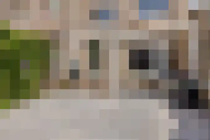 Peppelbeek 7 Veldhoven thumbnail 37
