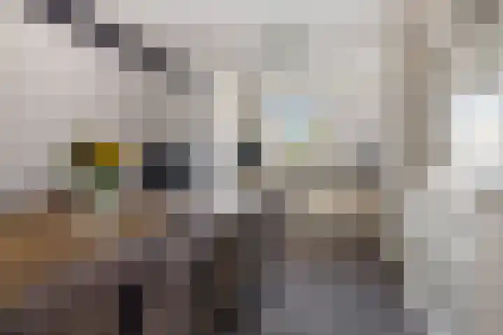 Peppelbeek 7 Veldhoven thumbnail 6