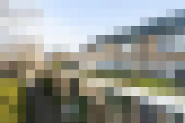 Peppeldreef 3 Bleiswijk