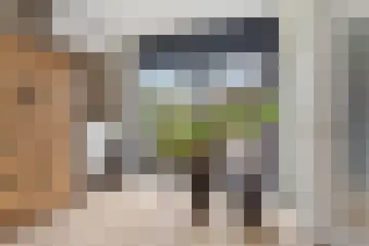 Peppelenwei 57 Arnhem thumbnail 21