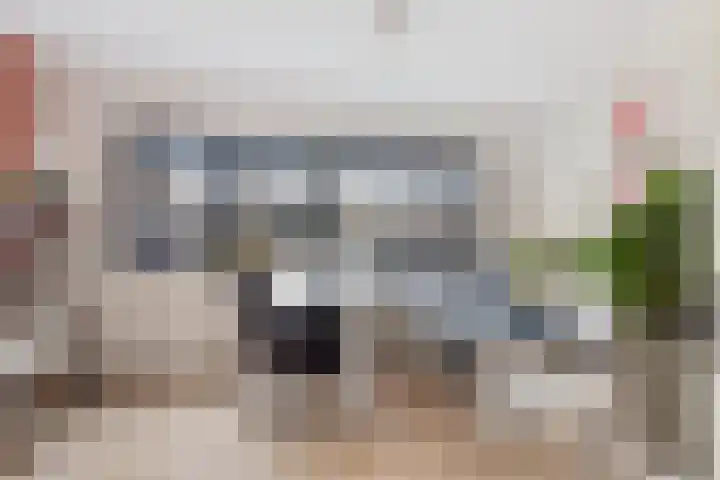 Peppelenwei 57 Arnhem thumbnail 31