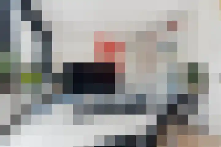 Peppelenwei 57 Arnhem thumbnail 33