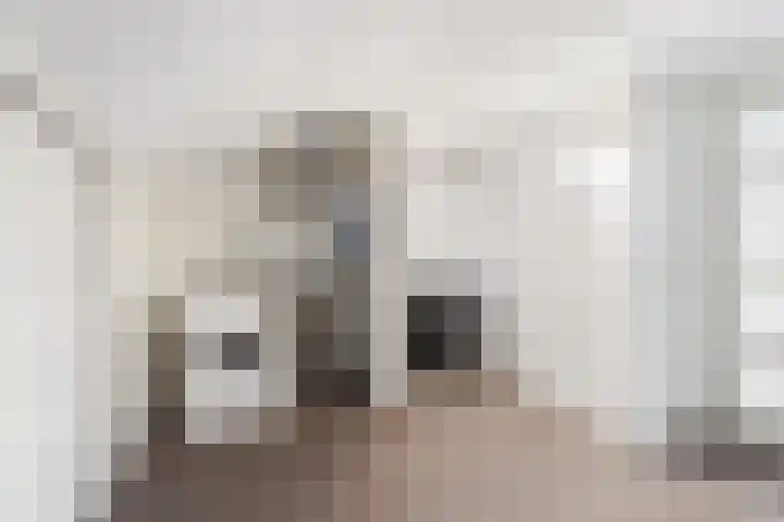 Peppelenwei 57 Arnhem thumbnail 48